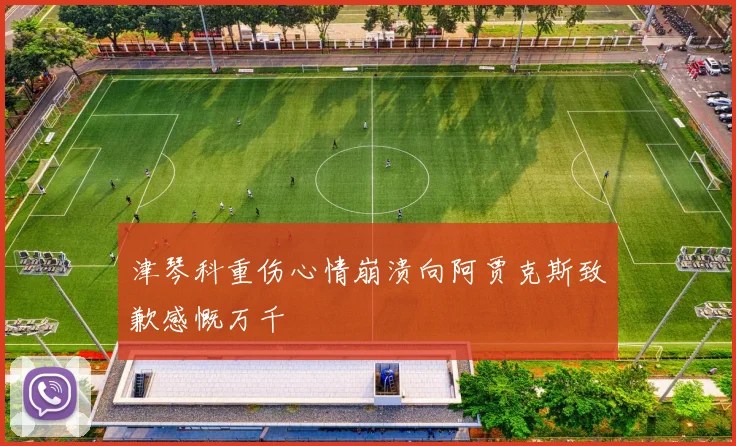 津琴科重伤心情崩溃向阿贾克斯致歉感慨万千