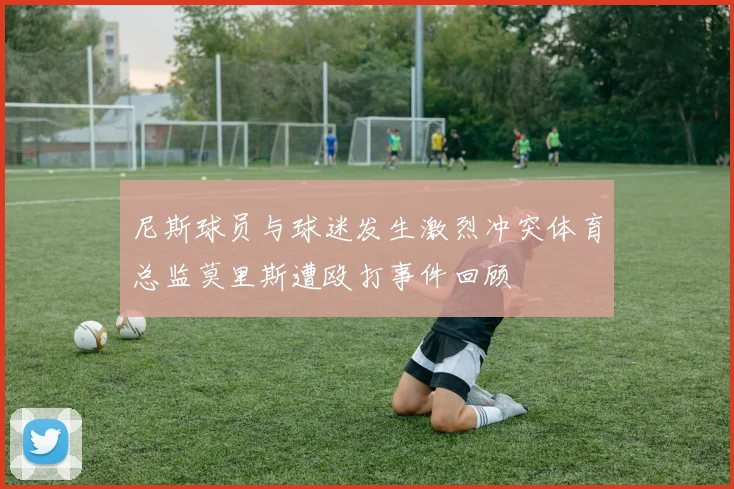 尼斯球员与球迷发生激烈冲突体育总监莫里斯遭殴打事件回顾